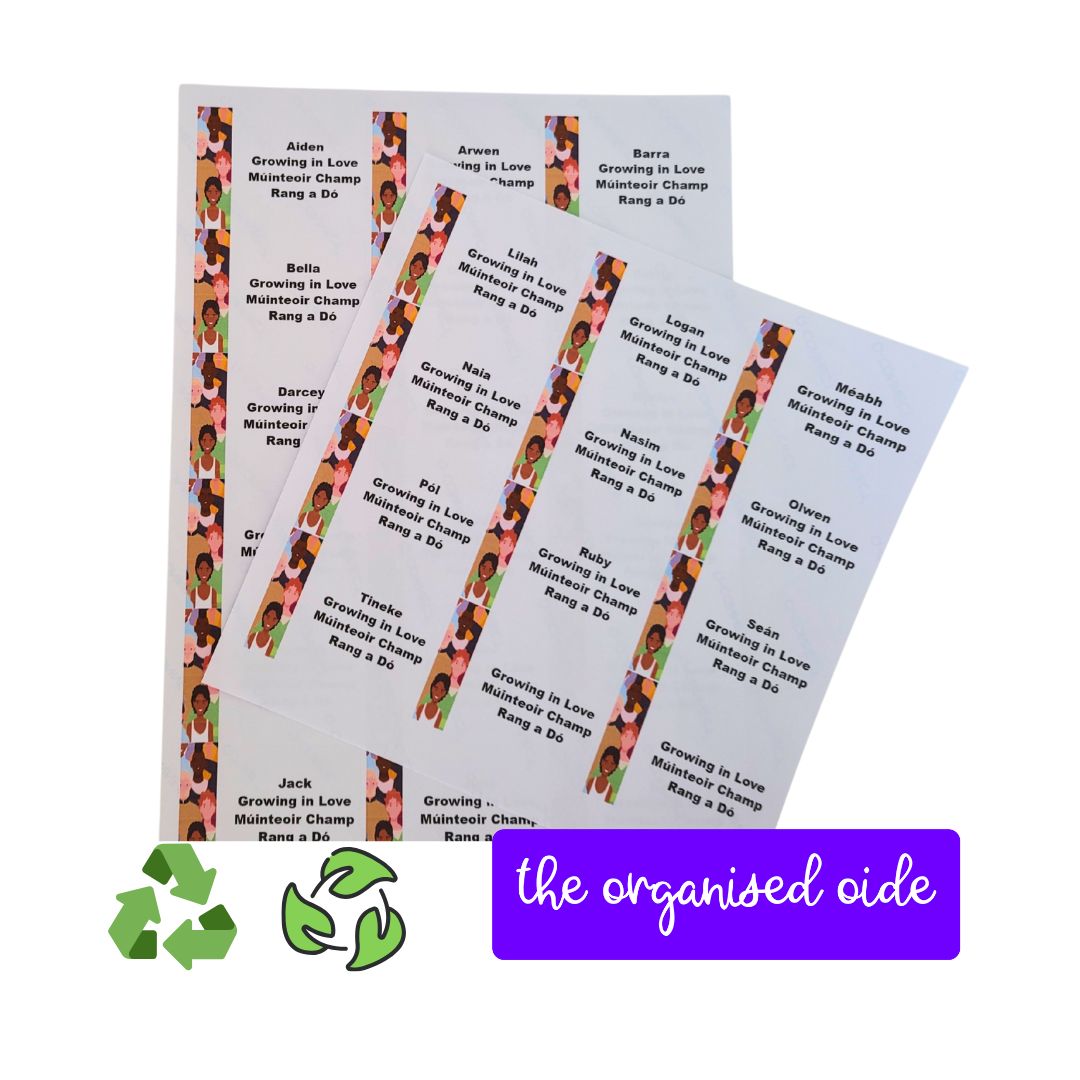 Classroom Organisation - Class set of Name Labels