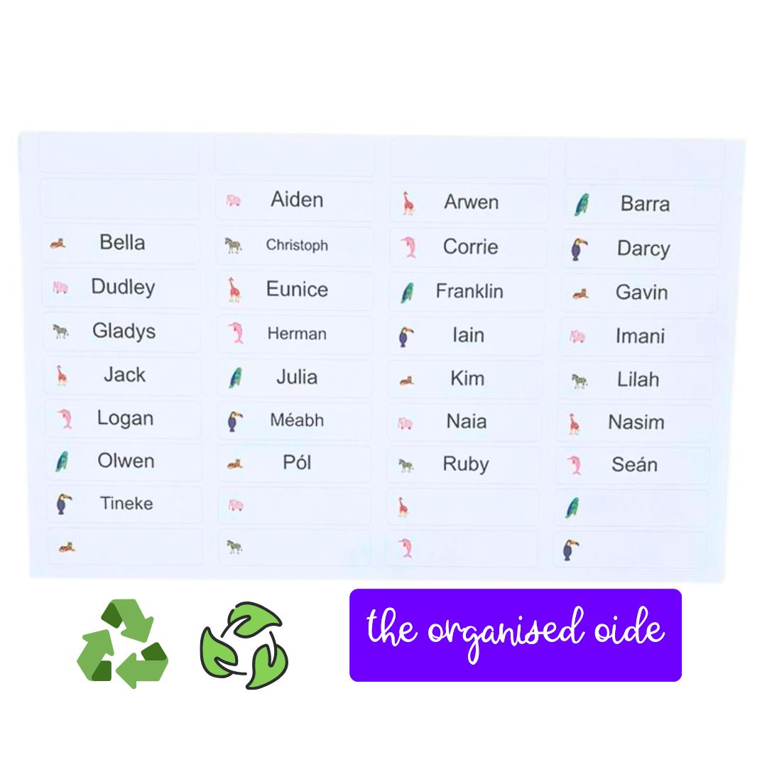 Classroom Organisation - Class set of Name Labels