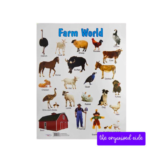 Wall Charts - A2 sized posters - pack of 12