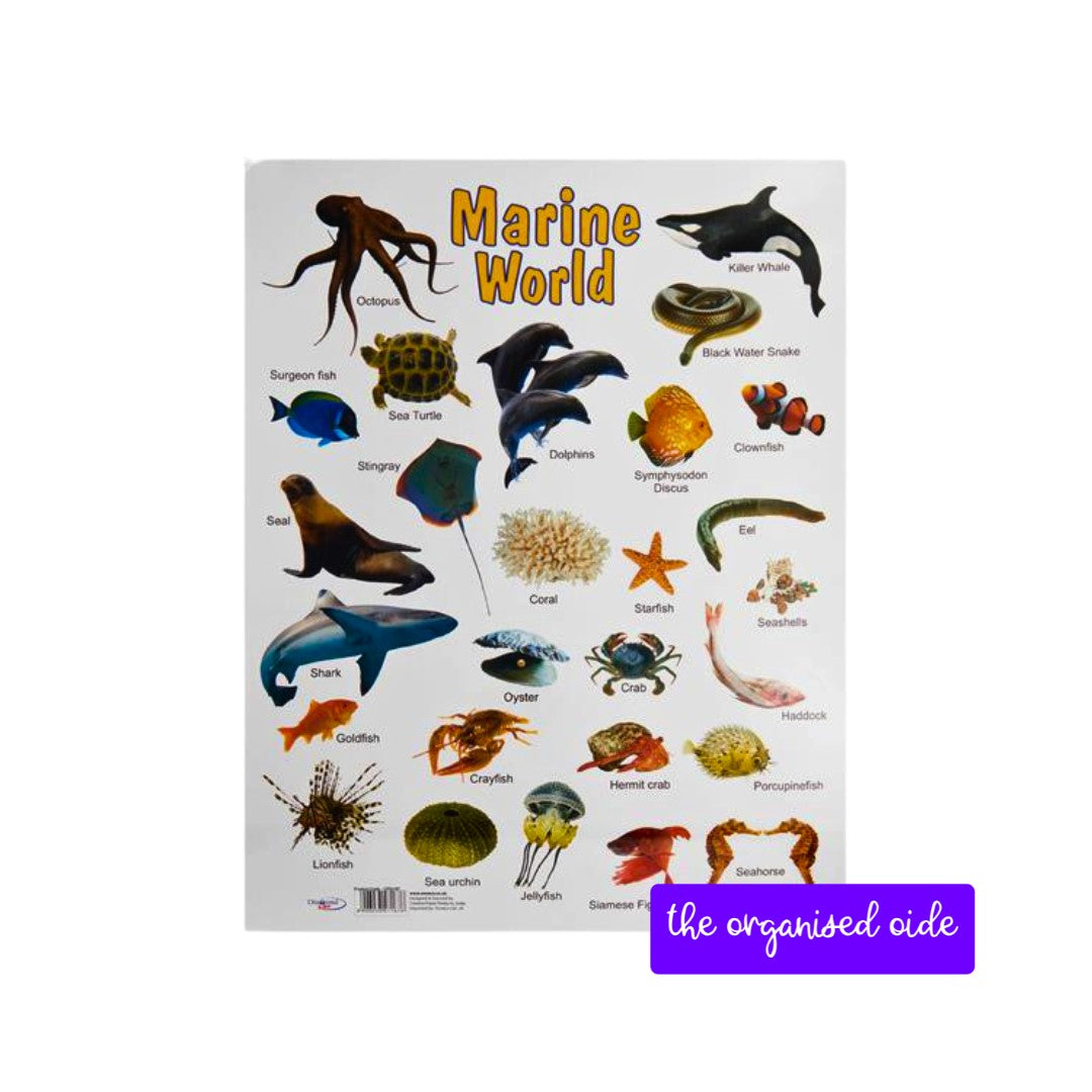 Wall Charts - A2 sized posters - pack of 12