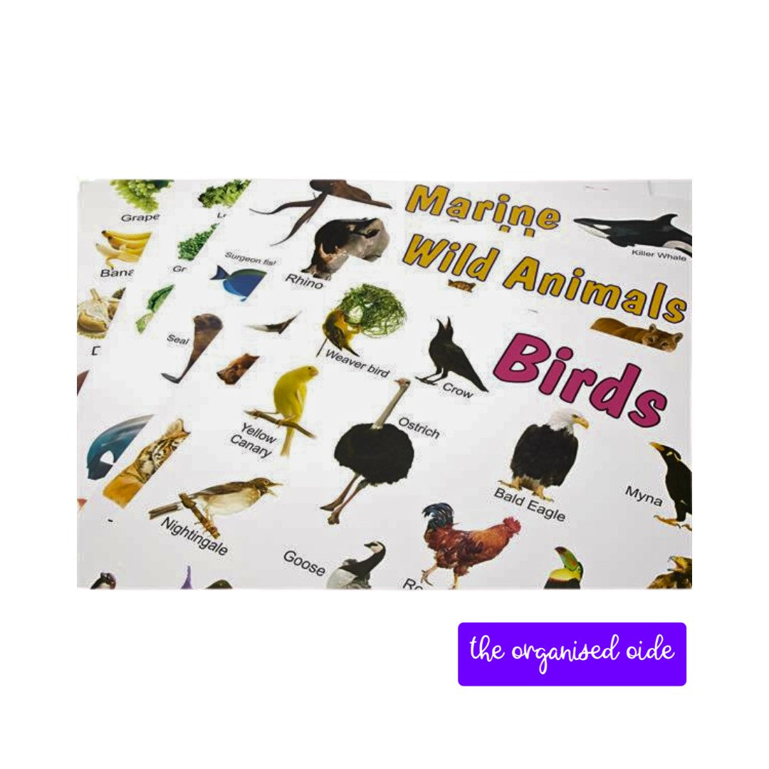 Wall Charts - A2 sized posters - pack of 12