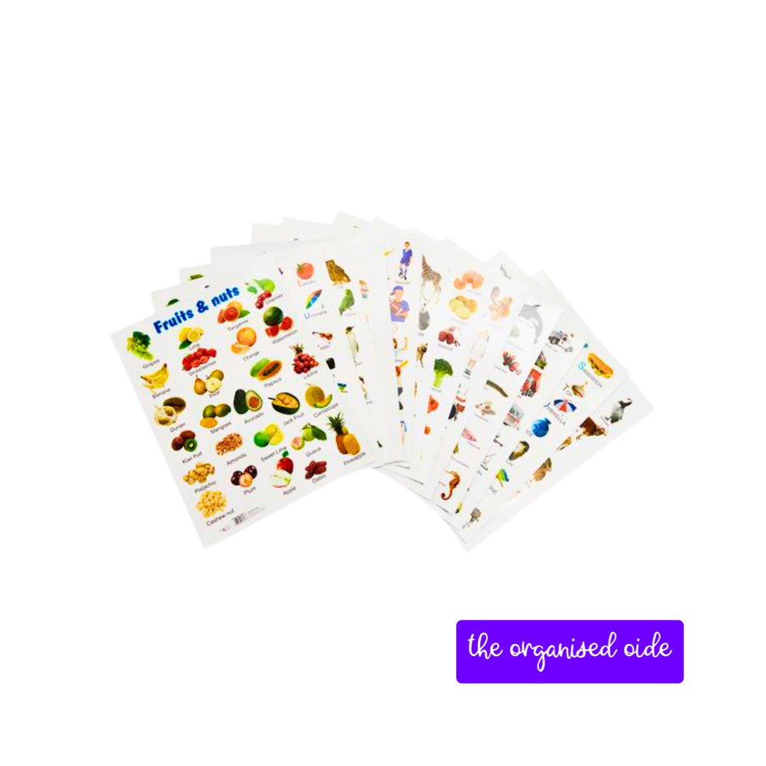 Wall Charts - A2 sized posters - pack of 12