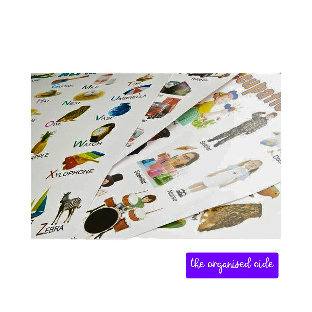 Wall Charts - A2 sized posters - pack of 12