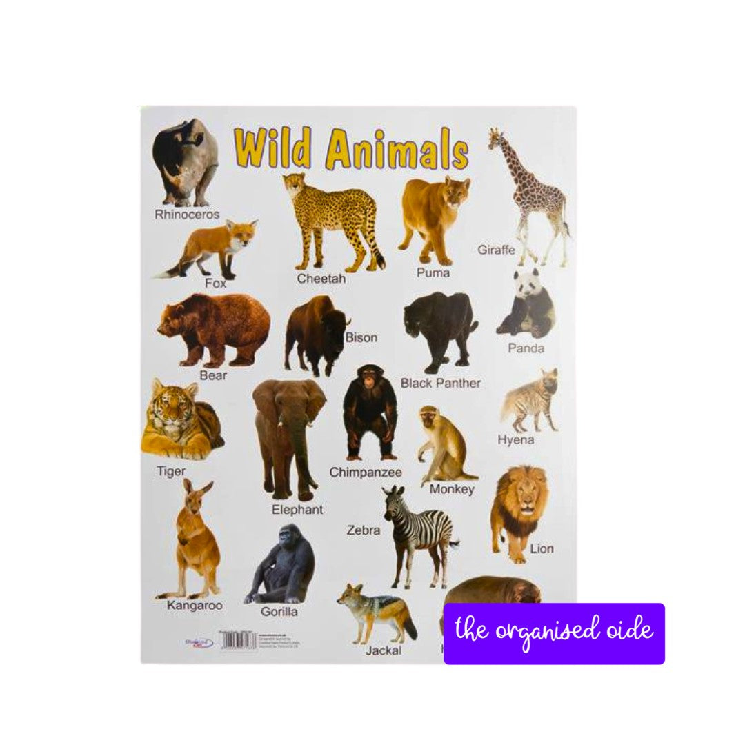 Wall Charts - A2 sized posters - pack of 12